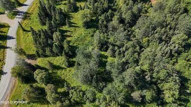 15466 Tovarish Rd, Ninilchik, AK 99639 - photo 3