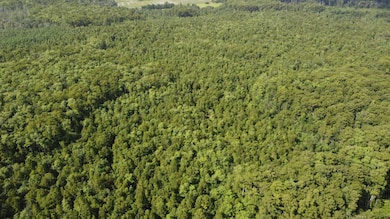 TBD Vicknair Rd, Maurepas, LA 70449 - photo 3