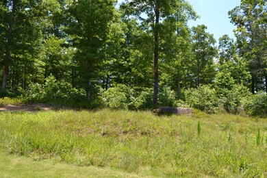 Golf Hole #2 View 2