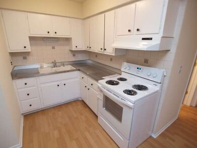 4751 25th Ave unit 6, Schiller Park, IL 60176 - photo 6