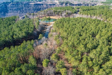 48-Jasper Farms 116-14