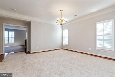 5601 Harrington Falls Ln unit 5601-T, Alexandria, VA 22312 - photo 6