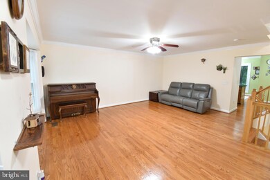 10611 Alison Dr, Burke, VA 22015 - photo 3