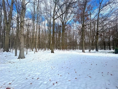 6684 Hidden Lake Trail, Brecksville, OH 44141 - photo 2