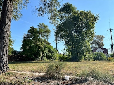 12828 Dwyer St, HamtraMcK, MI 48212 - photo 2