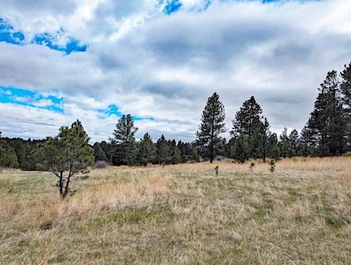 Lot 2 Argyle Ridge Ct, Hot Springs, SD 57747 - photo 6