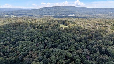 TRACTS 2 & 3 - 13610 Arkansas 105, Hector, AR 72843 - photo 6