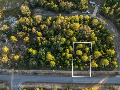 19 Shenandoah Blvd, Chipley, FL 32428 - photo 4