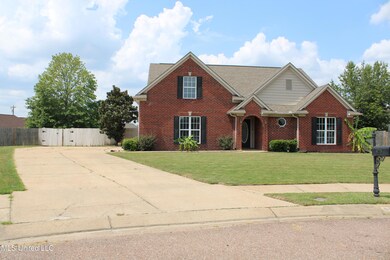 6719 Red Hawk Cove, Olive Branch, MS 38654 - photo 5