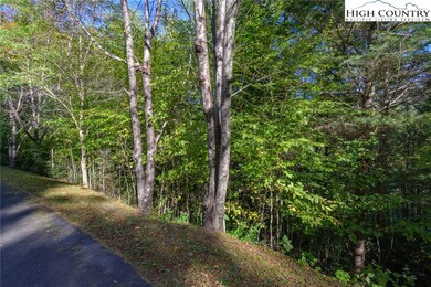 Lot 38 White Fox Ln, Banner Elk, NC 28604 - photo 5