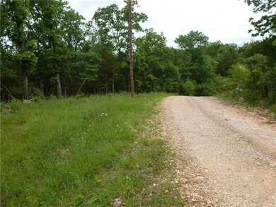 0 Ria Ln unit 1146997, Eureka Springs, AR 72631 - photo 5