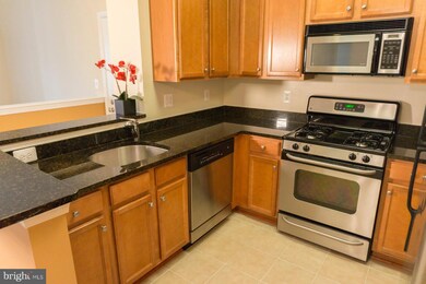1516 N Point Dr unit 204, Reston, VA 20194 - photo 4