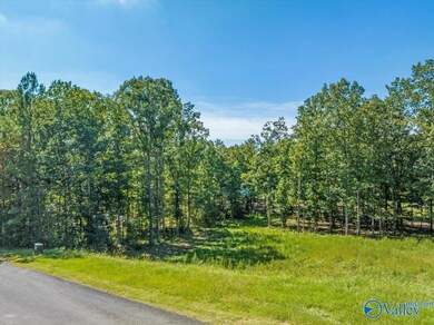 Lot 525/526 Falling Leaf Ln, Union Grove, AL 35175 - photo 5