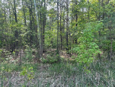 Wooded Area