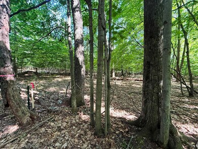 IMG_1068