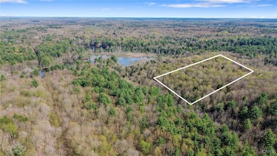 0 Island Rd unit S1604113, Albion, NY 13493 - photo 2