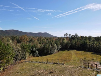 7070 Rendalia Motorway, Talladega, AL 35160 - photo 3