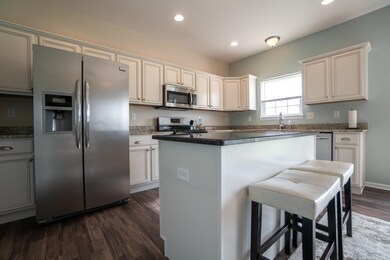 11052 Elkhart Place, Crown Point, IN 46307 - photo 5