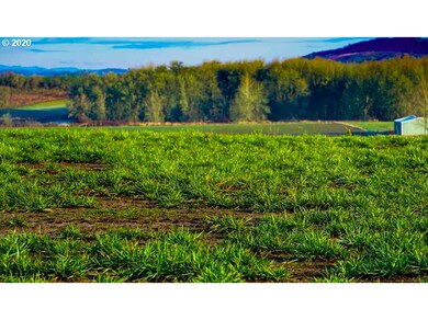 0 Highway 223 (Parcel, Dallas, OR 97338 - photo 6