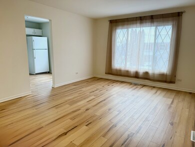 unlisted-address, Bolingbrook, IL 60440 - photo 5