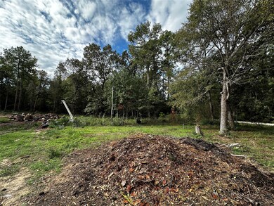 27102 Springwood Dr, Magnolia, TX 77354 - photo 2