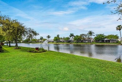 Backyard View