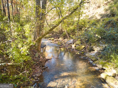 2171 Hollywood Hwy, Clarkesville, GA 30523 - photo 5