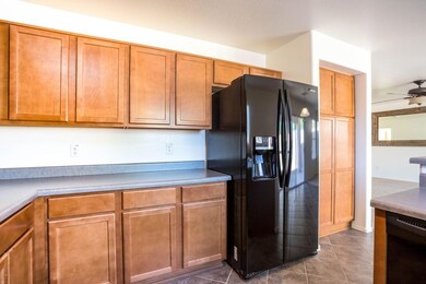 8 - Desert Holly ST
