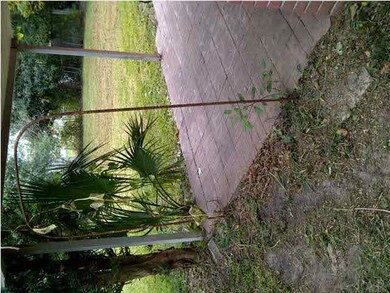 Backyard Shows a lot of Potential