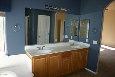 chandler Double sinks