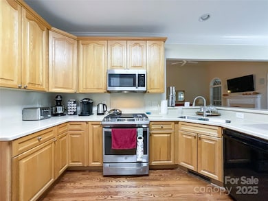 1004 Ivy Pond Ln, Indian Trail, NC 28079 - photo 6