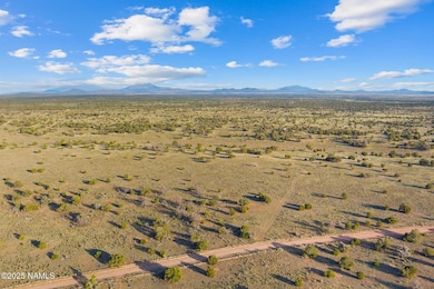 4532 E Indian Meadows Rd, Williams, AZ 86046 - photo 5