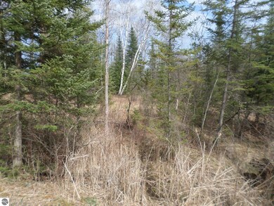 0 S Campbell Rd, West Branch Township, MI 48661 - photo 3