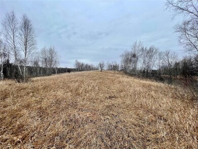 XXX 85th Avenue Ave, Dresser, WI 54009 - photo 5