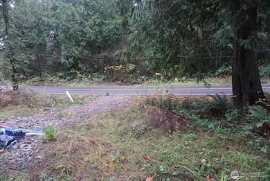 4703 Ames Lake Carnation Rd NE, Redmond, WA 98053 - photo 5