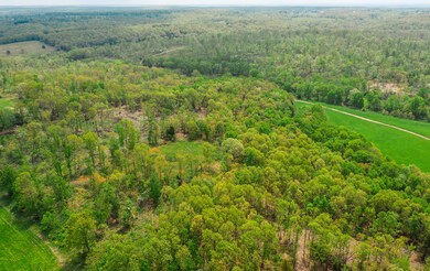 DJI_0733