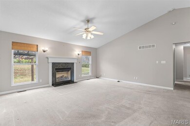 3203 Cole Meadows Ct, Festus, MO 63028 - photo 7