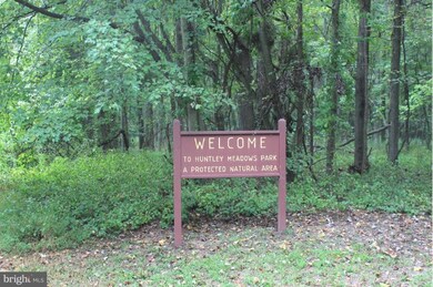 3603 Ransom Place, Alexandria, VA 22306 - photo 6