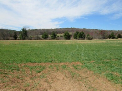 Farm Land in Floyd VA (2)