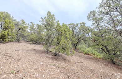 292 U S Highway 89 unit 12, Fairview, UT 84629 - photo 3