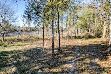 0 Mansfield Brown Rd, Warthen, GA 31094 - photo 3