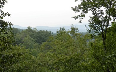 Additional View