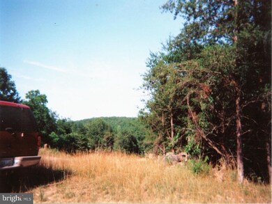 0 Pawnee unit 1000406563, Front Royal, VA 22630 - photo 5