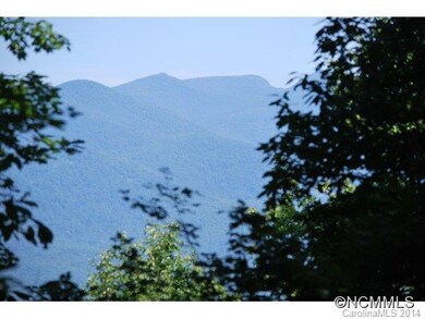 Phenomenal view potential