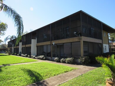 IMG_2013 (1)