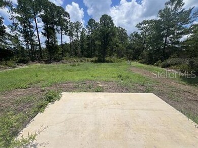 69 Malauka Pass, Ocklawaha, FL 32179 - photo 3