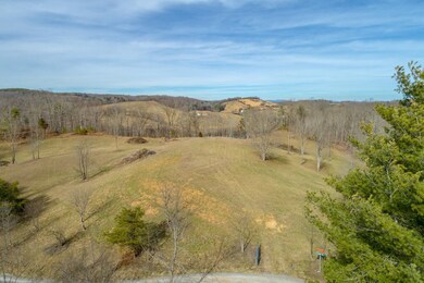 TBD Blackberry Ln, Hiwassee, VA 24347 - photo 4
