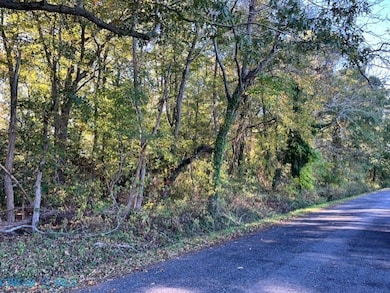 0 Yopps Cove Rd, White Stone, VA 22578 - photo 6