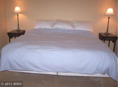 8011 Greenspring Way unit B, Owings Mills, MD 21117 - photo 7