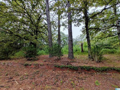 160 Circle Dr NE unit 18 & 19, Pell City, AL 35128 - photo 2